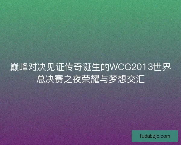 巅峰对决见证传奇诞生的WCG2013世界总决赛之夜荣耀与梦想交汇